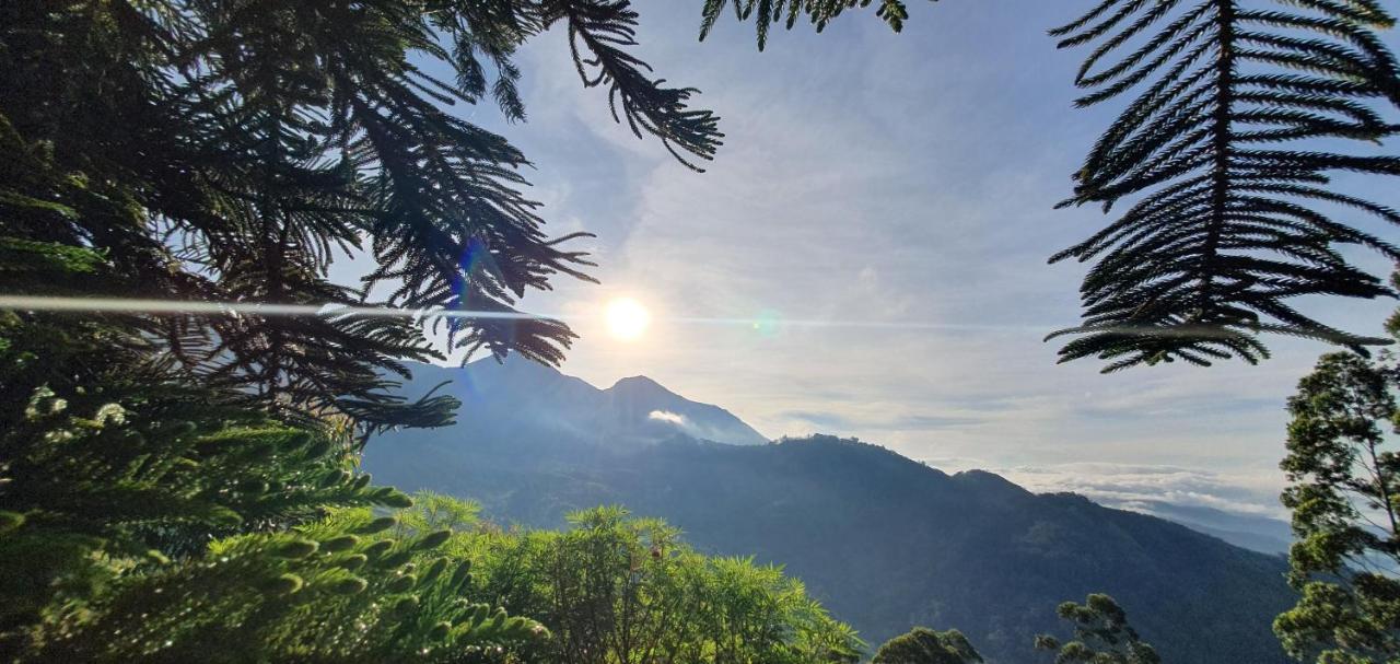 Mount Valley Resort - A Secluded Getaway Munnar Exterior foto